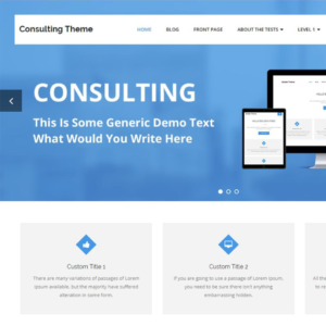 Consulting Theme