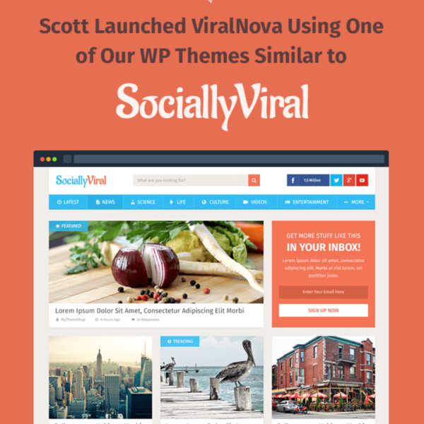 Socially Viral Theme